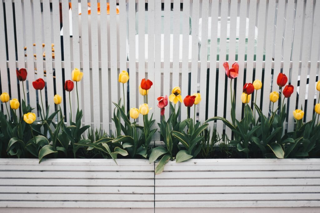 Fence