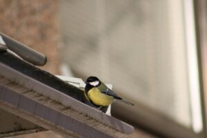 eco-friendly gutters