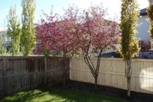 Restoration Fencing