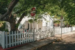 fencing
