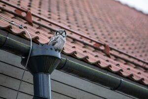 Gutters