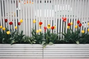 Fencing Solutions