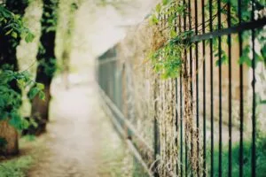 Stylish Fencing